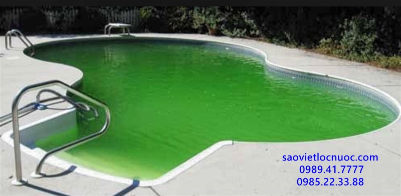 Bể bơi bị rêu xanh