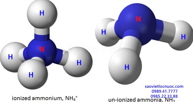 Phân biệt amoniac và amoni